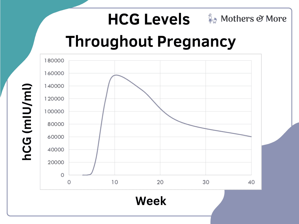 how-long-after-implantation-does-hcg-rise-mothers-and-more